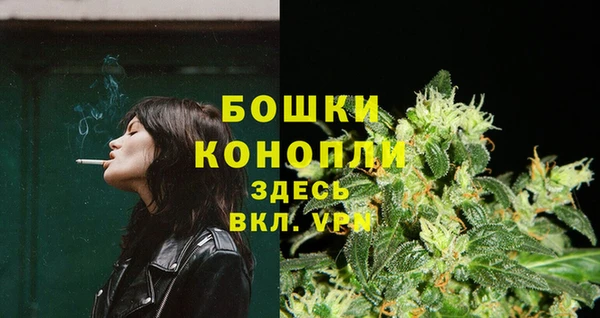 мдпв Надым