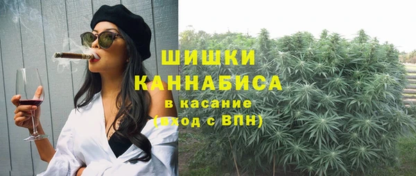 мдпв Надым