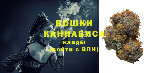 мдпв Надым