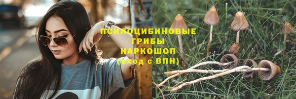 прущий лед Наволоки